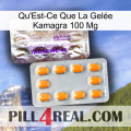 What Is Kamagra Jelly 100Mg new12